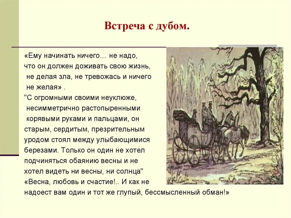 Поездка князя андрея в отрадное. Две встречи князя Андрея с дубом. Встреча князя Андрея с дубом. Встреча с дубом Андрея Болконского. Вторая встреча с дубом Андрея Болконского.