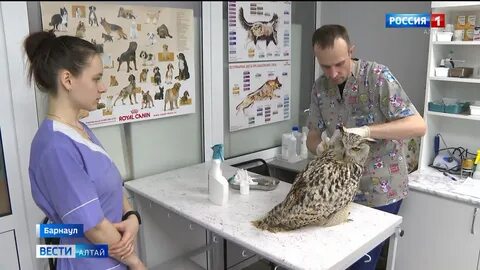 Подслушано барнаул