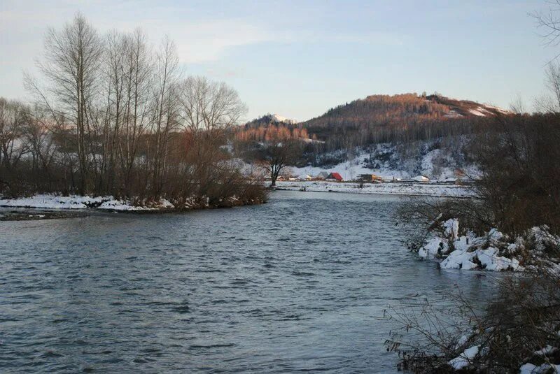 Погода солонешенский сибирячиха алтайский край. Село Сибирячиха Солонешенский район Алтайский край. Озеро Сибирячиха Алтайский. Село Топольное Солонешенского района Алтайского края. Рыбные реки Солонешенского района.