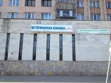 Большевистская 33