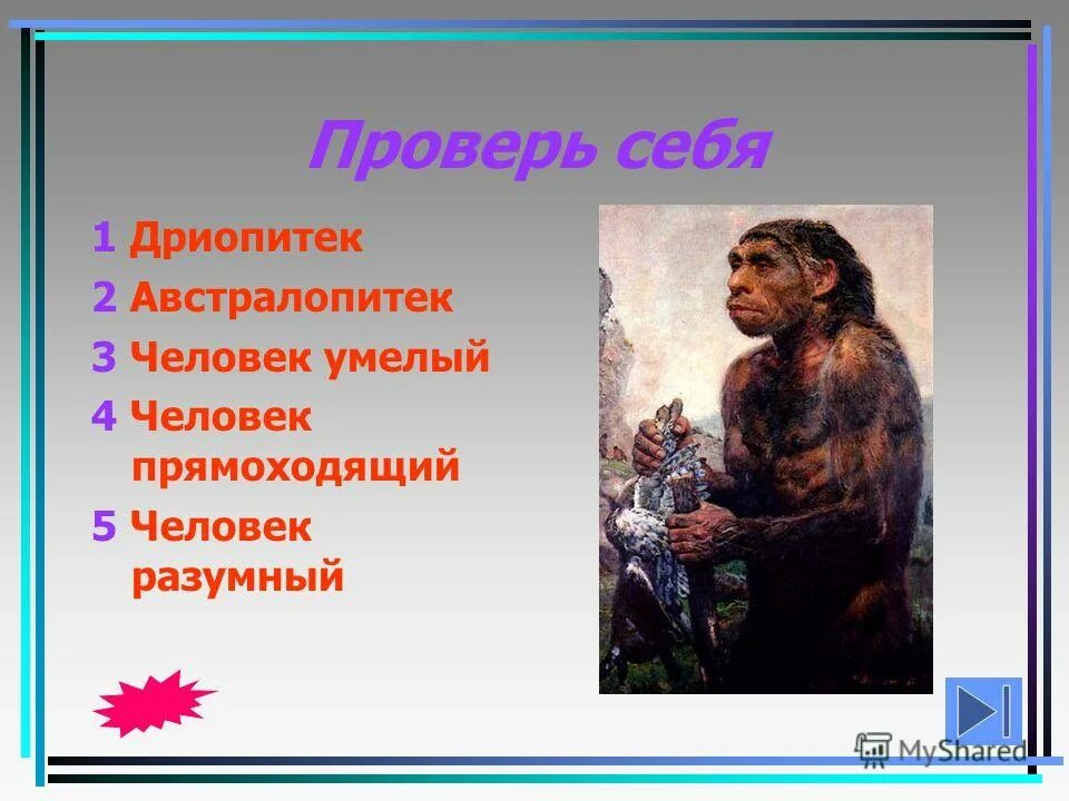 Дриопитеки австралопитеки человек умелый. Человек умелый человек разумный. Австралопитек человек умелый человек прямоходящий человек разумный. Умелый прямоходящий разумный. Дриопитеки австралопитеки древнейшие люди древние люди