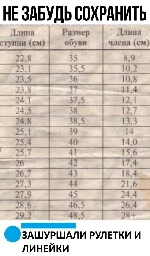 парень с линейкой. норма длины члена по возрастам. таблица норм размеров полового члена. мужчина с сантиметром. среднестатистический размер мужского достоинства.