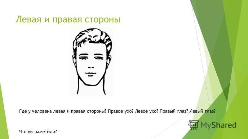 Почему левое больше правого. Правый и левый глаз. Где левый глаз. Где правый глаз. Где левый а где правый глаз.