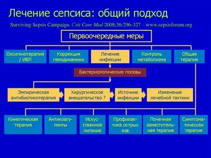 Сепсис терапия