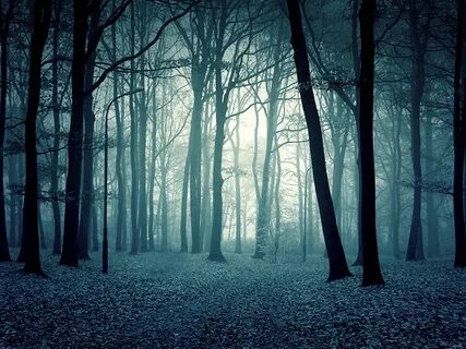 Scary forest
