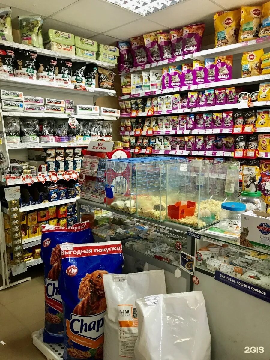 Зоомагазины в ростове на дону. Зоомагазин на ленина в ростове на дону. Зоомагазин на российской улице. Магазин для взрослых в ростове на дону. Zoocity зоомагазин.