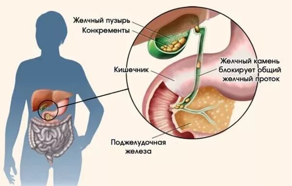Пульсирует желчный