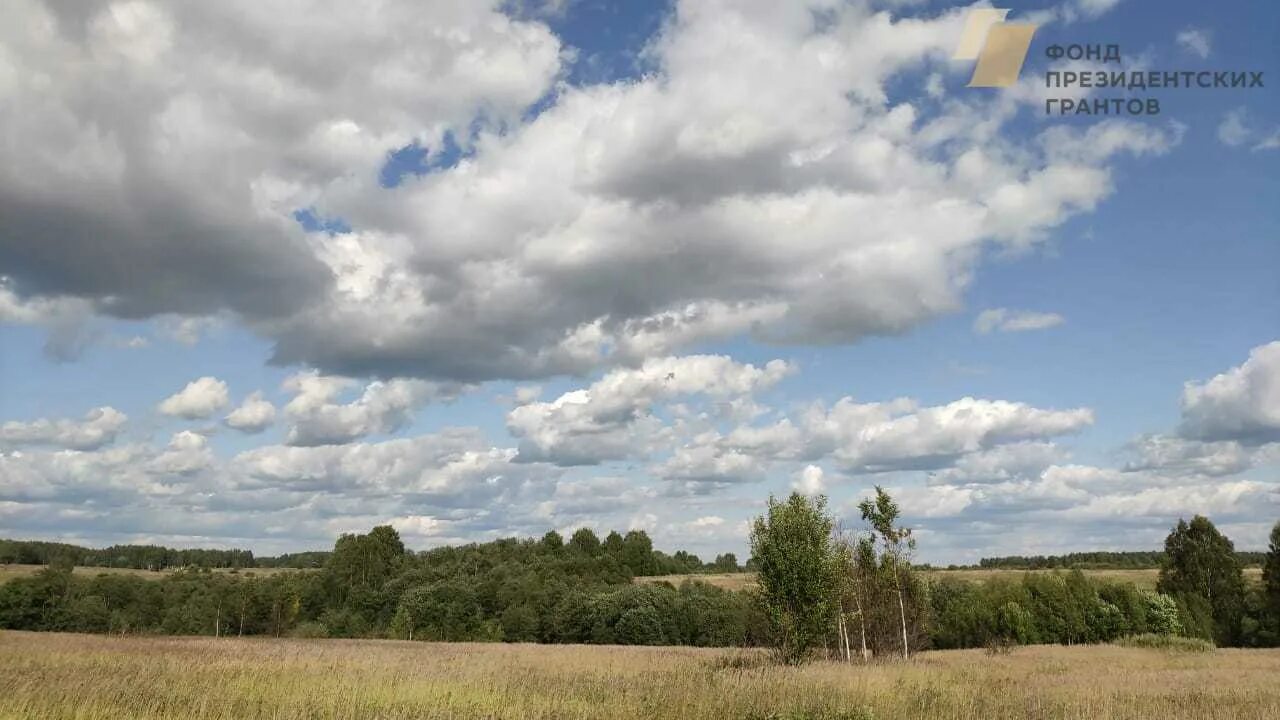 Погода село борки. Борки Рязанская область Шацкий район. Деревня Богословка Рязанская область Шацкий район. Кладбище село Борки Шацкого района Рязанской области. Село Борки Шацкого района Рязанской обл.