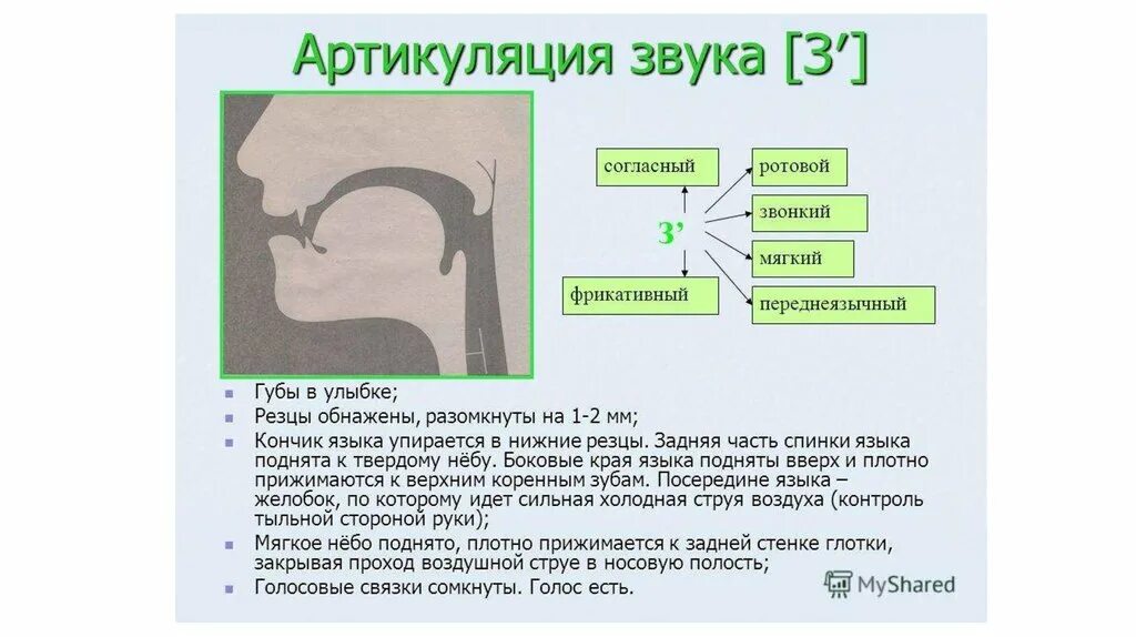 Артикуляция н. Артикуляция звука р. Артикуляционные профили согласных звуков. Правильная артикуляция р. Схема артикуляции звука р.