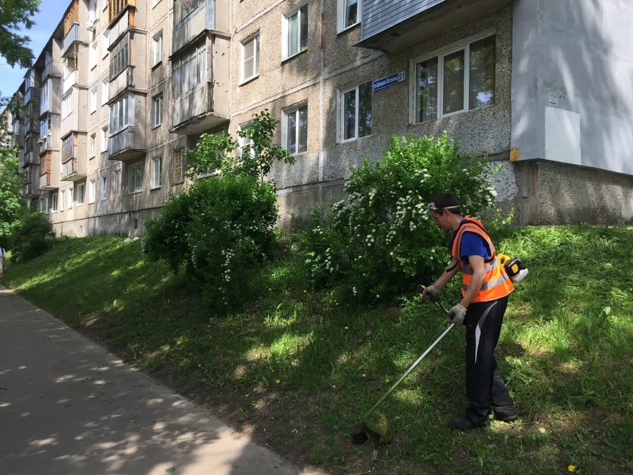 Дук нижегородского района нижнего новгорода. Опасный район. Опасные деревья. Мусор на газоне. Строительный мусор на газоне.