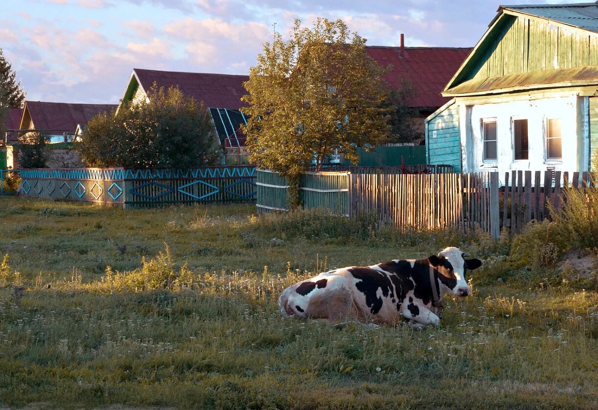 Жизнь в деревне лучше. Бабушка в деревне. летом в деревне у бабушки. домик в деревне с коровой. лето у бабушки в деревне.
