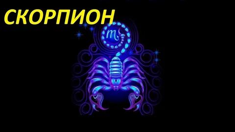 Змея скорпион 2024 год