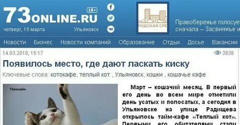 Теплый кот ульяновск