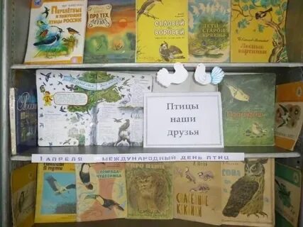 Ярмарка птицы в орле в 2024