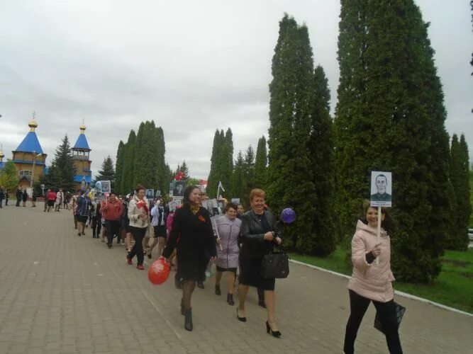 Село веселое Белгородская область. Веселое Красногвардейского района. Весёлое Белгородская область Красногвардейский. Новости село веселое Белгородской области. Погода в веселом белгородской области красногвардейского района