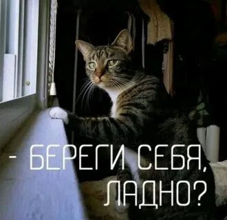 Берегите эту красоту