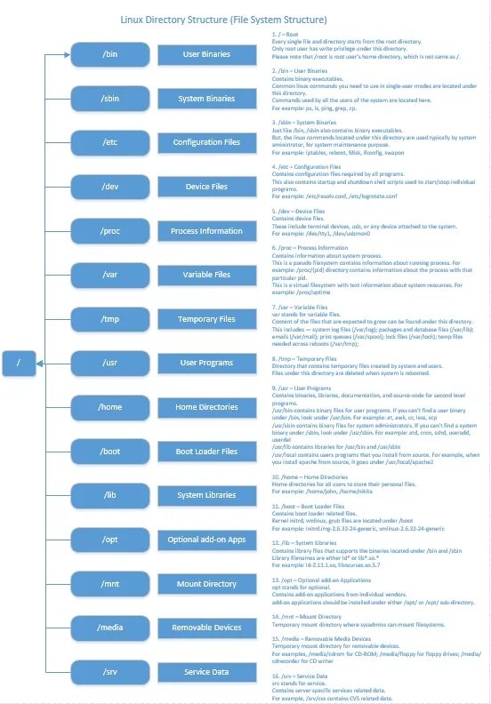 Linux file directory. Linux file structure. linux directories explained. сертификации linux последовательность. bash directory structure.