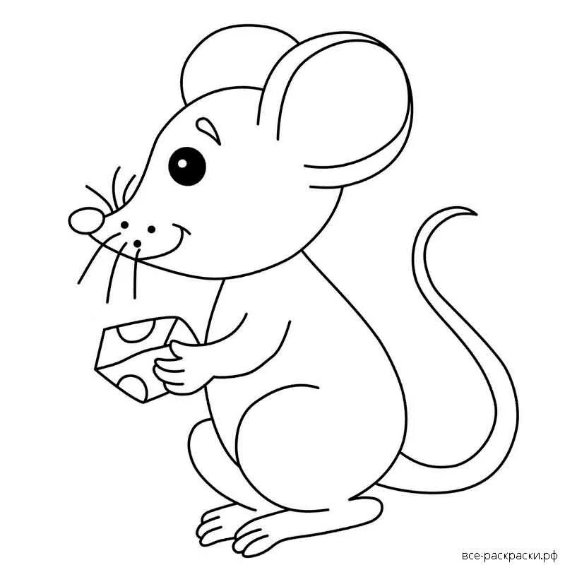 Мышка норушка раскраска для малышей. Мышка Теремок раскраска для детей. Мышь из сказки Теремок раскраска для детей. Мышка норушка раскраска Теремок. Раскраска мышь распечатать
