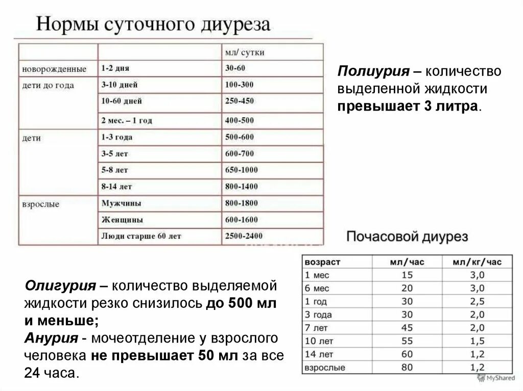 Сколько раз в сутки норма мочеиспускания. Суточный объем мочи. В норме показатель диуреза суточного. Почасовой диурез у детей в норме. Объем выделяемой мочи в норме.