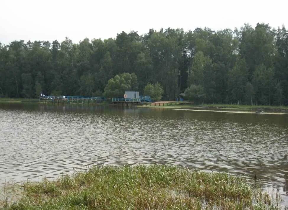 алексеевка щелковский. алексеевка щелковский. алексеевка 2 щелковский район озеро. алексеевка щелковский. щелково 2 алексеевка.