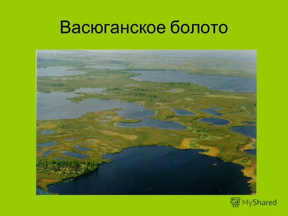 Васюганские болота субъект рф. Западно-Сибирская равнина Васюганье болото. Болото на Западно сибирской равнине. Болота Западно Сибирская низменность. Васюганские болота на карте Западной Сибири.