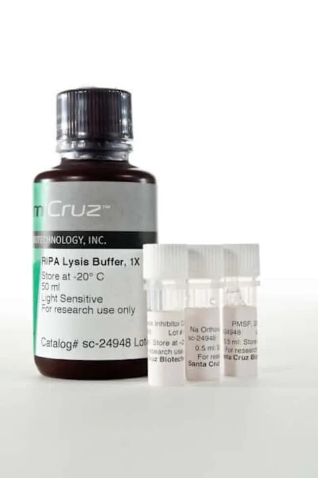 Research use only. Santa-cruz biotechnology. состав лизирующего буфера. santa cruz biotechnology, inc. логотип. buffer use.