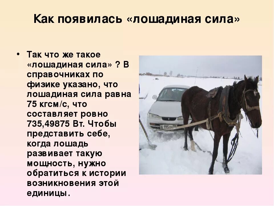 Насколько сил. Сила лошади в лошадиных силах. Измерение лошадиных сил автомобиля. Мощность лошади в лошадиных силах. Мощность автомобиля в лошадиных силах.