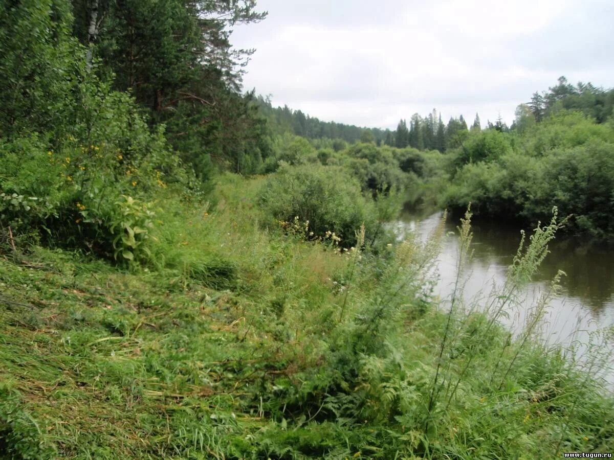План современного использования территории. Есауловка сосновоборск. Село нижняя-есауловка школа. Деревня красный яр приморский край. Погода в нижней есауловке манского красноярского.