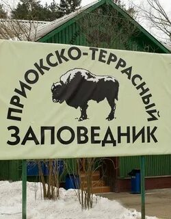 Приокско террасный заповедник находится в зоне