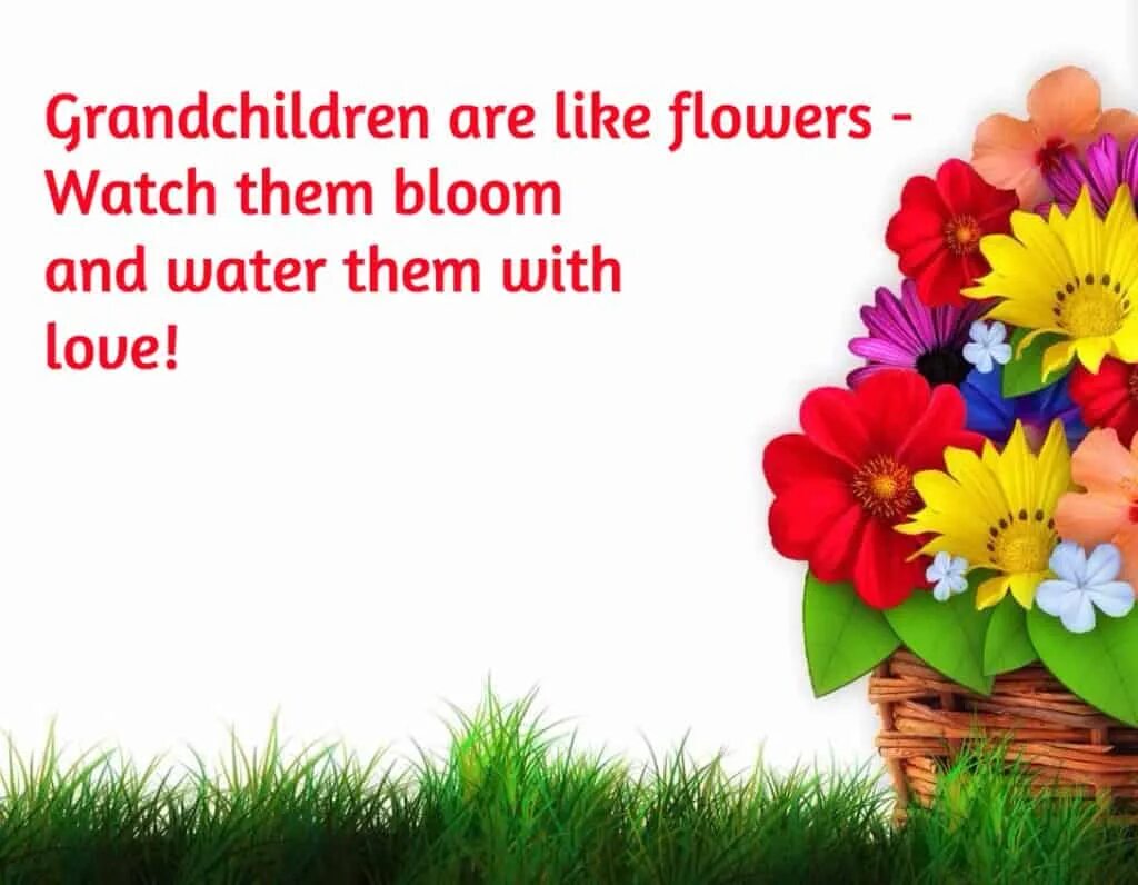 We like flowers. Dimensions 3117 Grand children are like Flowers.