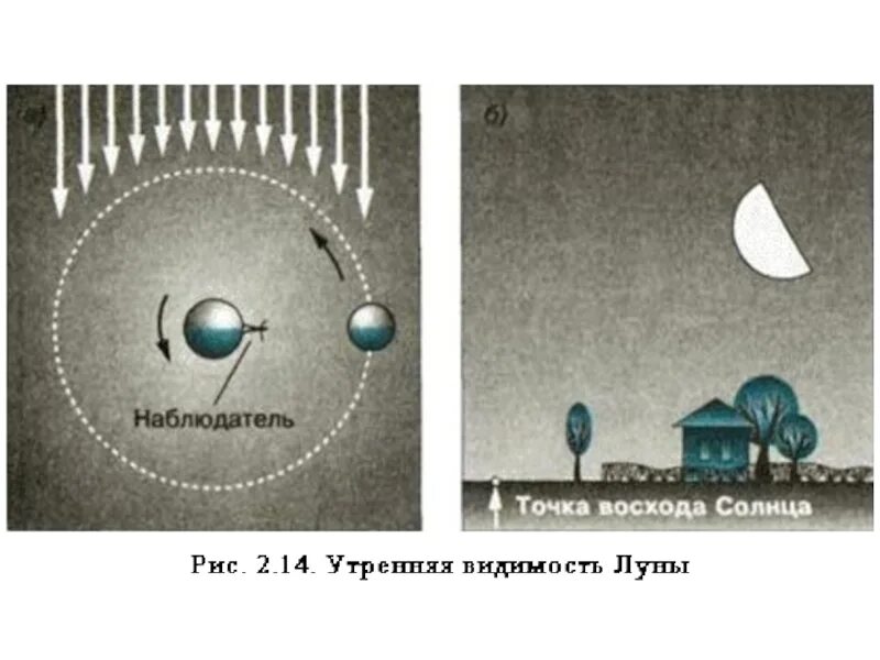 Луна движется точка ближе. Вечерняя видимость Луны. Утренняя видимость Луны. Луна видимость Луны. Фазы Луны схема астрономия.