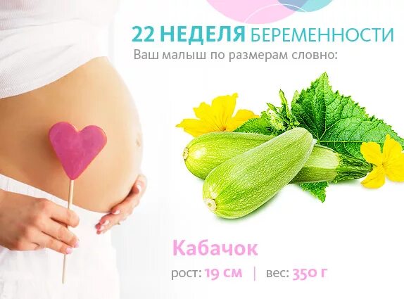 Какой фрукт беременность. 22 неделя беременности фрукт. 22 неделя беременности размер. размер ребёнка на 22 неделе беременности. размер ребенка на 22 неделе.