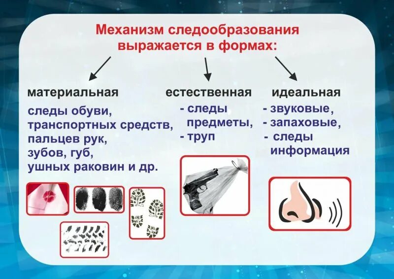 Возможности использования следов. Механизм следообразования в криминалистике. механизм следообразования следов рук. механизм следообразования схема. информационные следы в криминалистике.