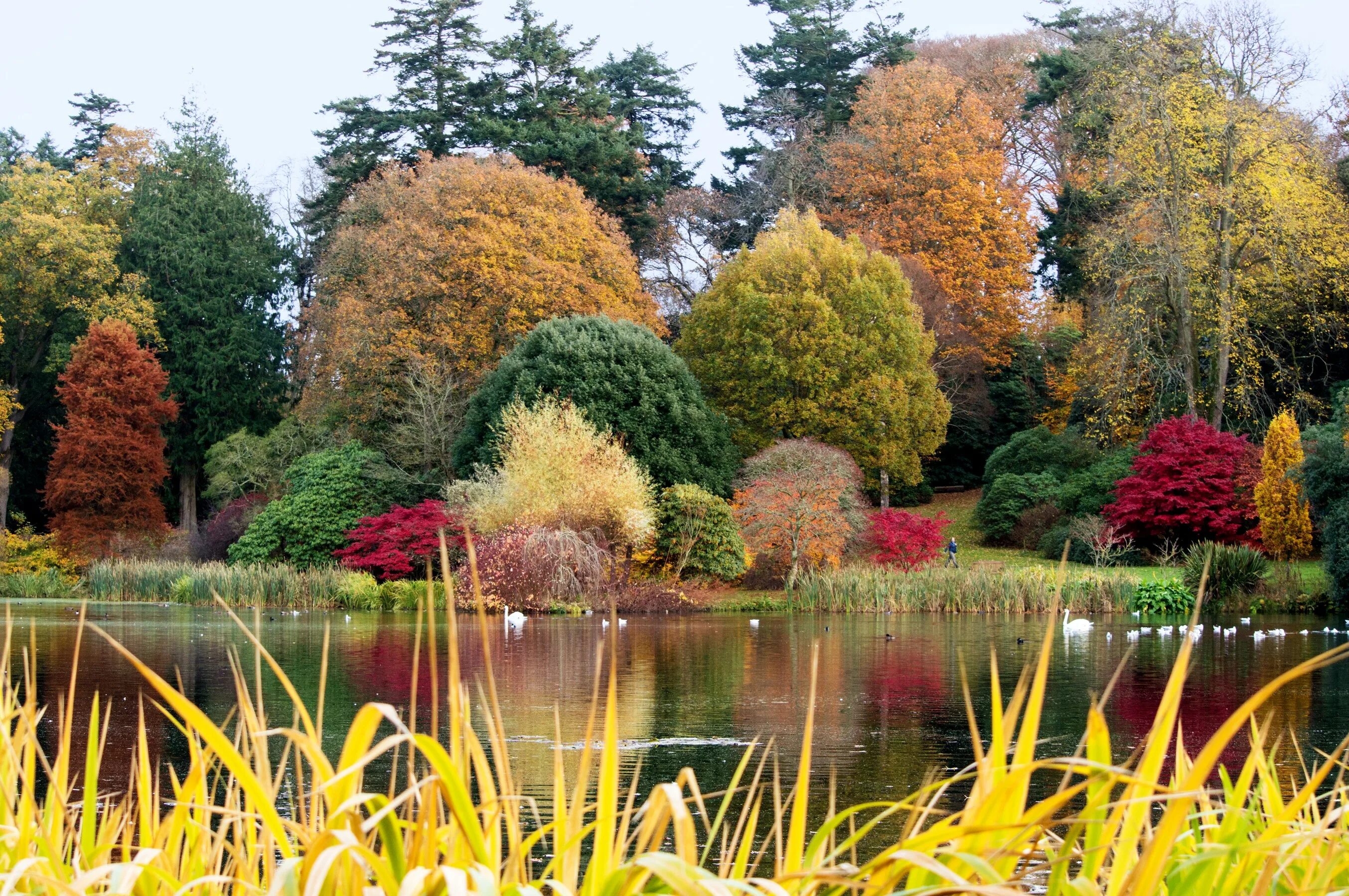 Uk parks. Сад Чишмиджиу. Шенбрунн парк осенью. Осень в саду. Ранняя осень парк.