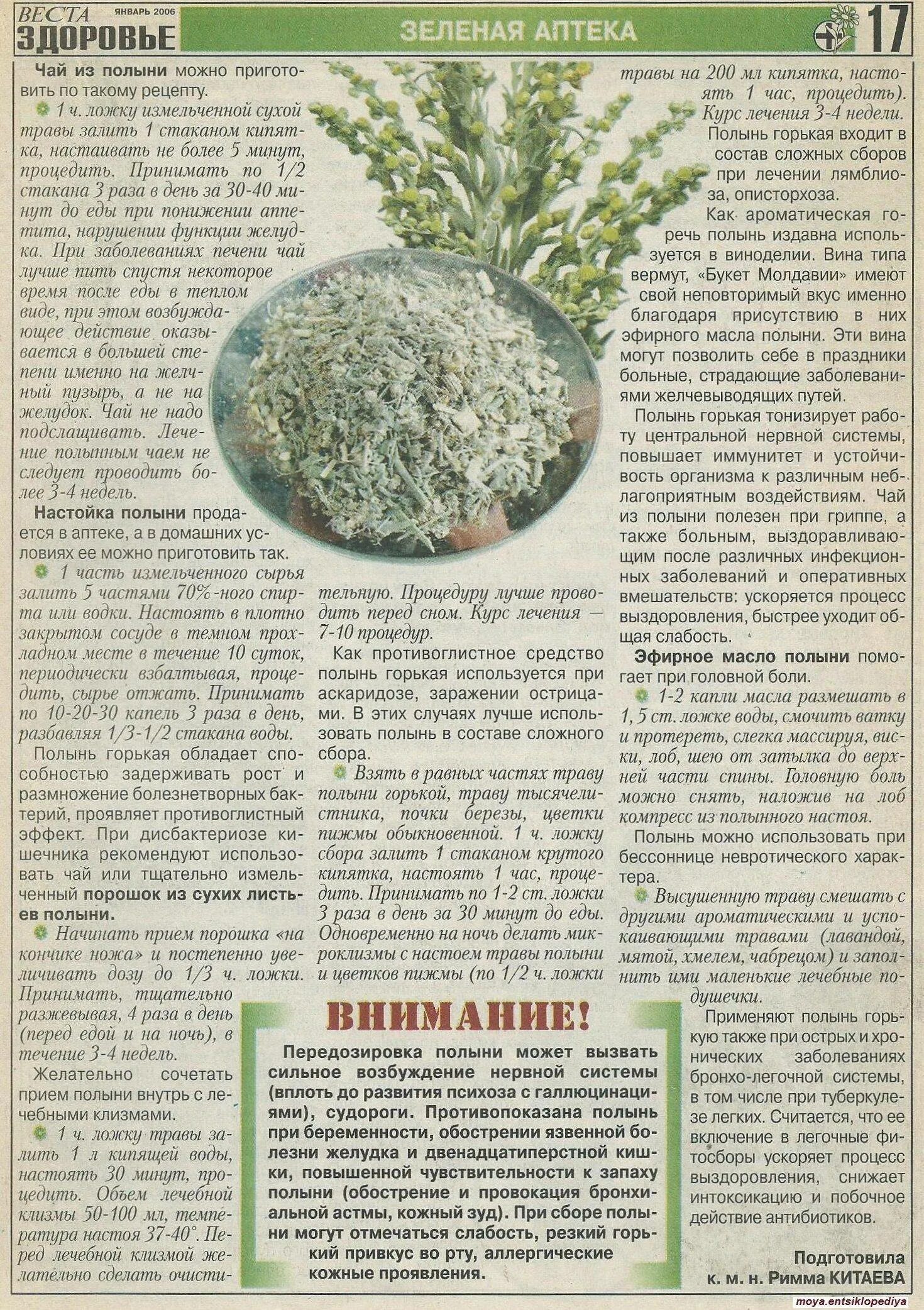 Лечебные свойства полыни. Полынь горькая настой от гельминтов. полынь лечебные рецепты. полынь состав. рецепты из полыни.