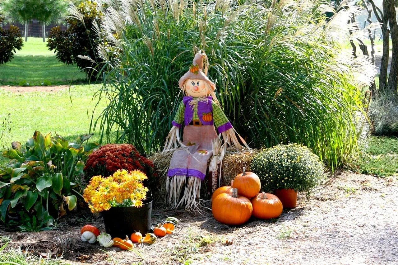 Рутарий туя. Альпийская горка в версале. Декоративные работы в саду. Украшения для сада. Украшения для сада.