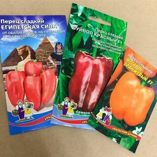 Перец египетская сила
