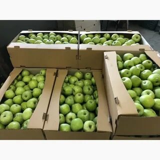 Опт какая