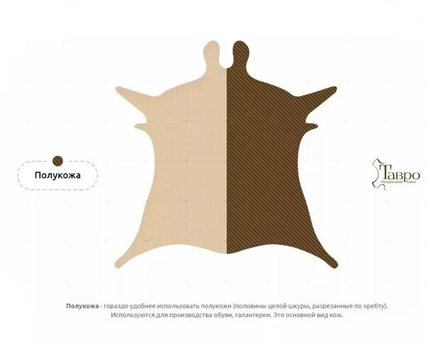 Кожа полукожа чепрак схема. Полукожа что это. Полукожа что это. Топология шкуры крс. Прессованная искусственная кожа.