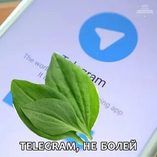 Сегодня сейчас телеграм