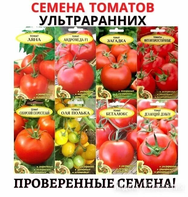 Томат бетта f1. Томат майский ультраранний. Гавриш томат бетта. Ультраранние сорта томатов для открытого грунта. Томат агаша партнер f1.