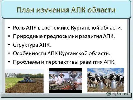 Особенности агропромышленного комплекса