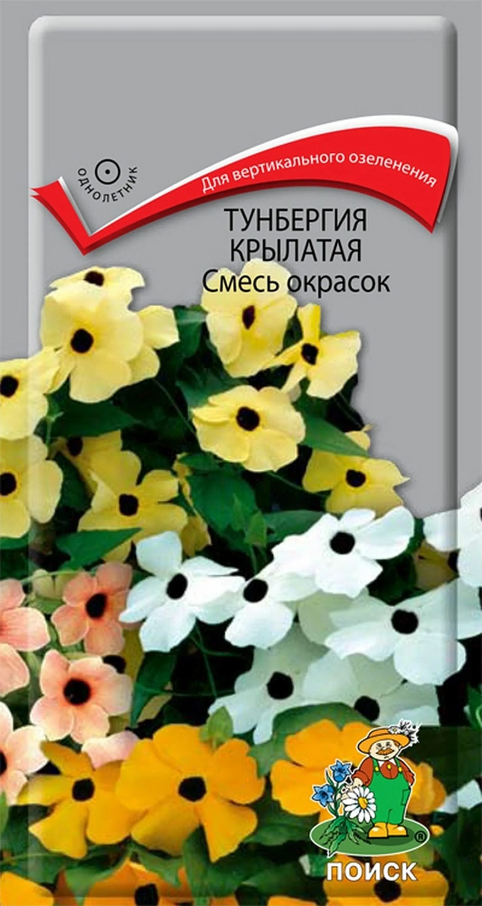 Тунбергия Сюзи смесь окрасок. Тунбергия смесь Крылатая 0,5 г. Тунбергия Сьюзи смесь окрасок Крылатая. Тунбергия Крылатая смесь окрасок. Тунбергия крылатая семена