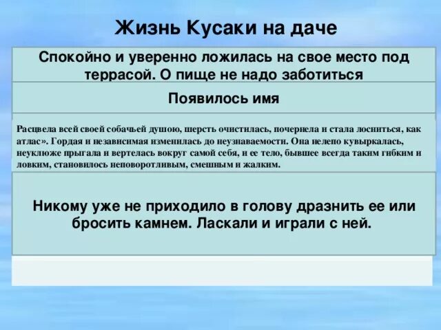 Тест по кусаке 7. План рассказа кусака. Кусака план по главам. План к произведению кусака по главам. Цитатный план кусака.