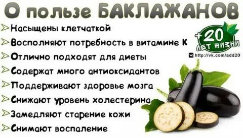 Баклажаны свойства