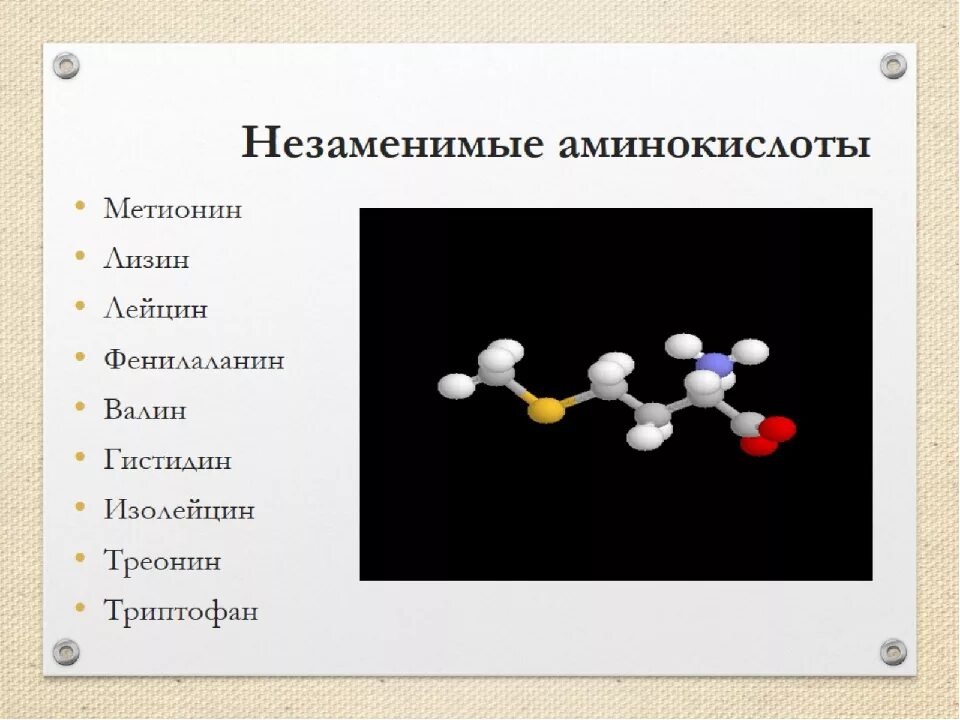 20 аминокислот заменимые и незаменимые таблица. 3 незаменимые аминокислоты. 10 незаменимых аминокислот формулы. Перечень незаменимых аминокислот. 20 аминокислот заменимые и незаменимые.