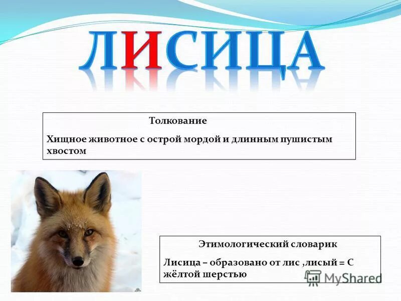 Fox работа. Словарное слово лисица 1 кл. Слово лисица. Лисица словарное слово 1 класс. Словарная работа лисица.