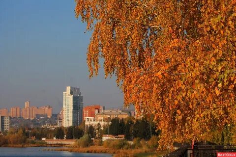 Золотая осень город нижний