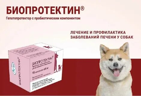 Антибиотики гепатопротекторы