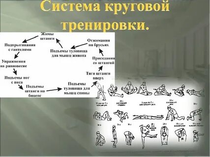 Круговая тренировка на уроках физической культуры
